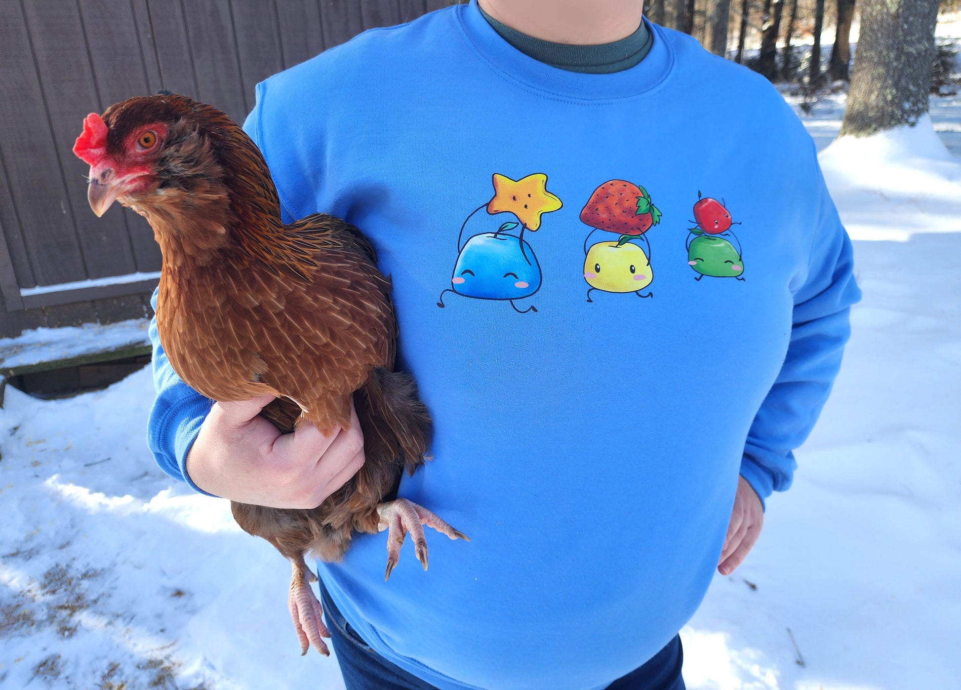 Stardew Valley Junimo Sweater Cozy Farm life Adult Unisex Sweatshirt Pullover Crewneck Sweater  Sweethaven Cottage   